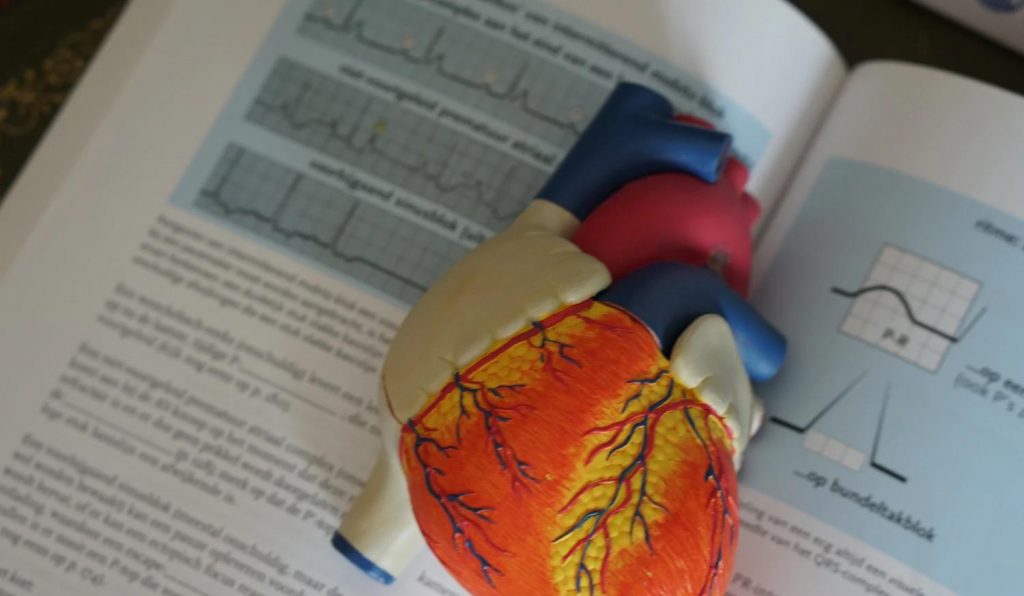 Mutuelle santé  l'intérêt de comparer les complémentaires santé
